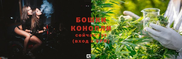 ПСИЛОЦИБИНОВЫЕ ГРИБЫ Корсаков