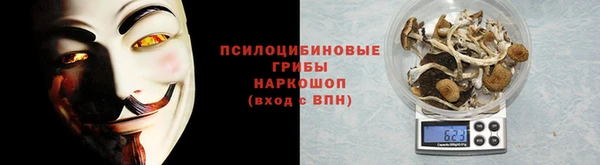 ГАЛЛЮЦИНОГЕННЫЕ ГРИБЫ Коряжма
