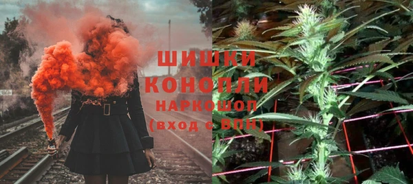 ПСИЛОЦИБИНОВЫЕ ГРИБЫ Корсаков