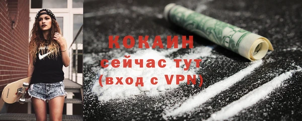 ГАЛЛЮЦИНОГЕННЫЕ ГРИБЫ Коряжма