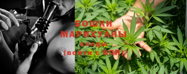 ГАЛЛЮЦИНОГЕННЫЕ ГРИБЫ Коряжма